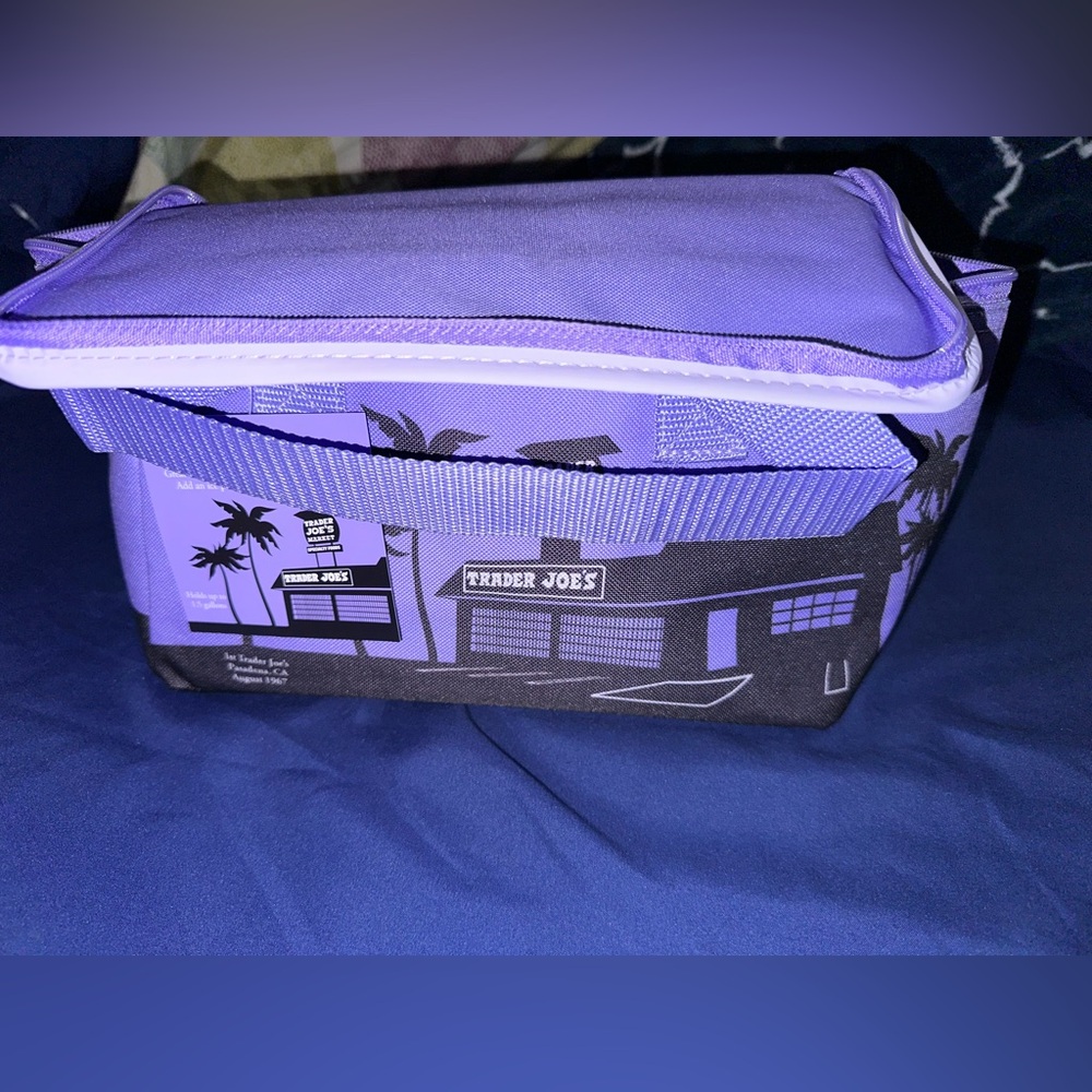 NWT Trader Joe’s Mini Insulated Bag